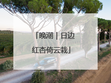 晚潮｜日边红杏倚云栽
