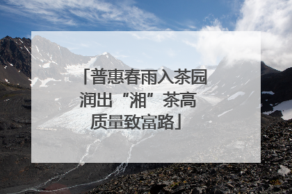 普惠春雨入茶园 润出“湘”茶高质量致富路