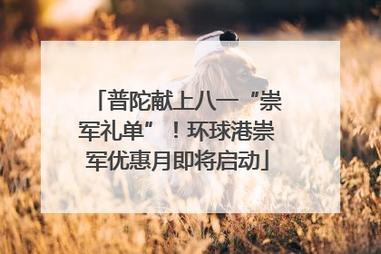 普陀献上八一“崇军礼单”！环球港崇军优惠月即将启动