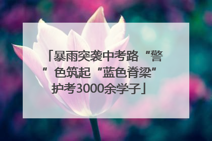暴雨突袭中考路“警”色筑起“蓝色脊梁”护考3000余学子