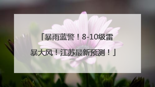 暴雨蓝警！8-10级雷暴大风！江苏最新预测！