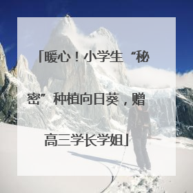 暖心！小学生“秘密”种植向日葵，赠高三学长学姐