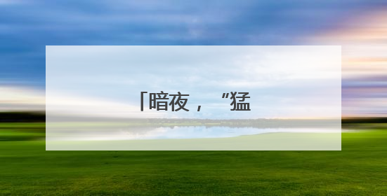 暗夜，“猛龙”出击！