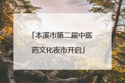 本溪市第二届中医药文化夜市开启