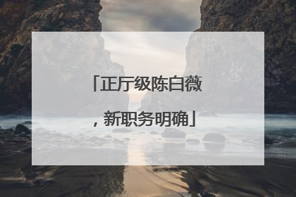 正厅级陈白薇，新职务明确