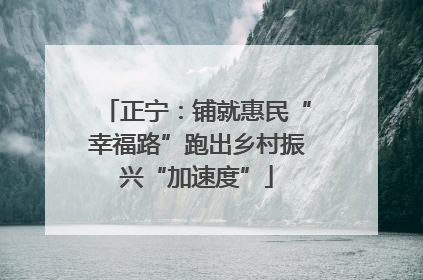 正宁：铺就惠民“幸福路”跑出乡村振兴“加速度”