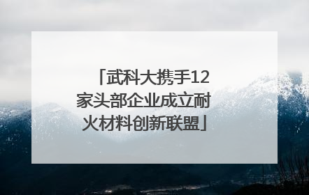 武科大携手12家头部企业成立耐火材料创新联盟