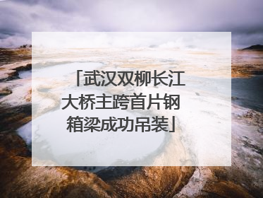 武汉双柳长江大桥主跨首片钢箱梁成功吊装