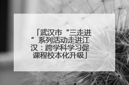 武汉市“三走进”系列活动走进江汉：跨学科学习促课程校本化升级