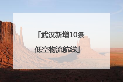 武汉新增10条低空物流航线