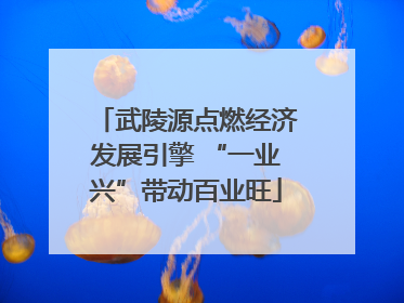 武陵源点燃经济发展引擎 “一业兴”带动百业旺