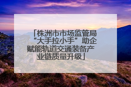 株洲市市场监管局“大手拉小手”助企赋能轨道交通装备产业链质量升级