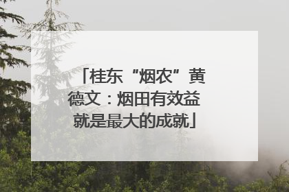 桂东“烟农”黄德文：烟田有效益就是最大的成就