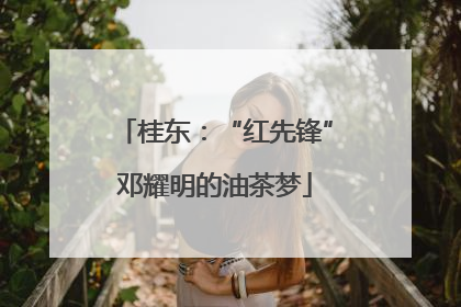桂东：“红先锋”邓耀明的油茶梦