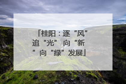 桂阳：逐“风”追“光” 向“新”向“绿”发展