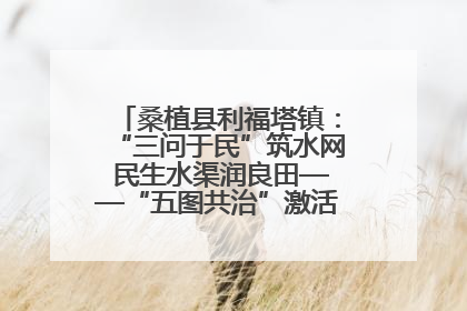 桑植县利福塔镇：“三问于民”筑水网 民生水渠润良田——“五图共治”激活基层治理新动能