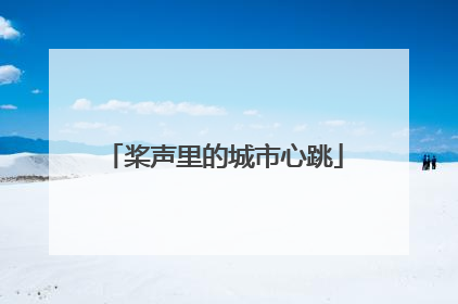 桨声里的城市心跳
