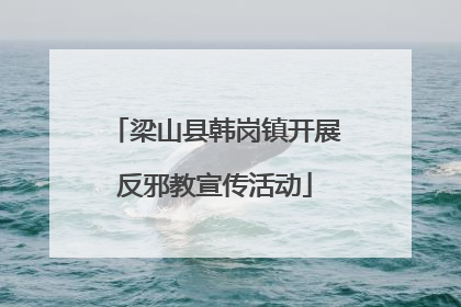 梁山县韩岗镇开展反邪教宣传活动