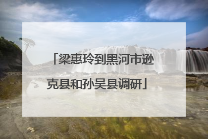 梁惠玲到黑河市逊克县和孙吴县调研