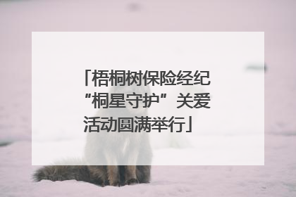 梧桐树保险经纪“桐星守护”关爱活动圆满举行
