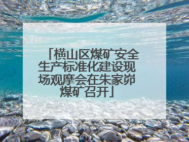 横山区煤矿安全生产标准化建设现场观摩会在朱家峁煤矿召开