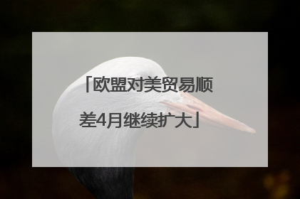 欧盟对美贸易顺差4月继续扩大