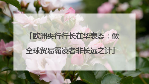 欧洲央行行长在华表态：做全球贸易霸凌者非长远之计