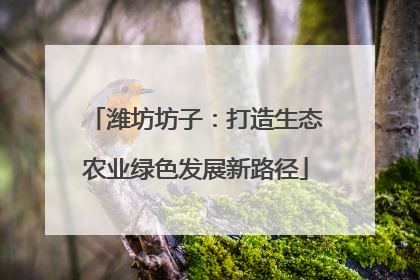 潍坊坊子：打造生态农业绿色发展新路径