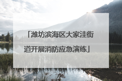 潍坊滨海区大家洼街道开展消防应急演练