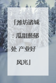 潍坊诸城：瓜甜葱郁处 产业好风光