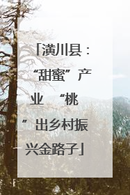 潢川县：“甜蜜”产业  “桃”出乡村振兴金路子