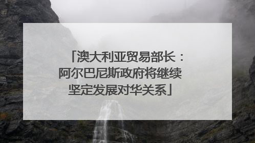 澳大利亚贸易部长：阿尔巴尼斯政府将继续坚定发展对华关系