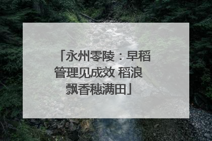 永州零陵：早稻管理见成效 稻浪飘香穗满田