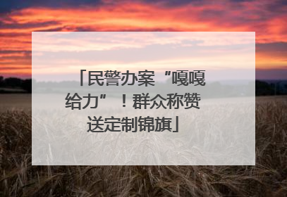 民警办案“嘎嘎给力”！群众称赞送定制锦旗