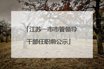 江苏一市市管领导干部任职前公示