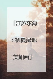 江苏东海：初夏湿地美如画