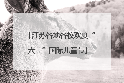 江苏各地各校欢度“六一”国际儿童节