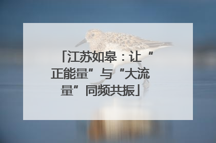 江苏如皋：让“正能量”与“大流量”同频共振