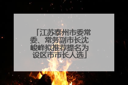 江苏泰州市委常委、常务副市长沈峻峰拟推荐提名为设区市市长人选