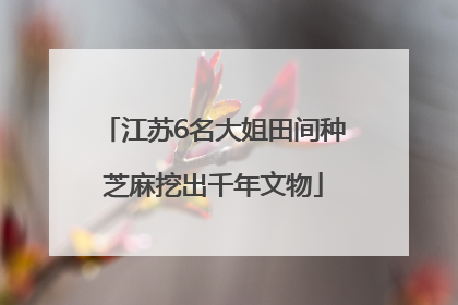 江苏6名大姐田间种芝麻挖出千年文物