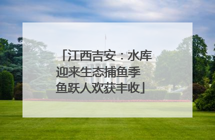 江西吉安：水库迎来生态捕鱼季 鱼跃人欢获丰收