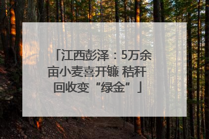 江西彭泽：5万余亩小麦喜开镰 秸秆回收变“绿金”