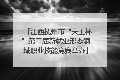 江西抚州市“天工杯”第二届新就业形态领域职业技能竞赛举办