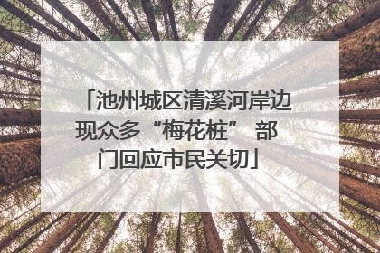 池州城区清溪河岸边现众多“梅花桩” 部门回应市民关切