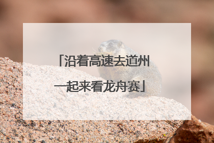 沿着高速去道州 一起来看龙舟赛