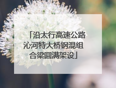 沿太行高速公路沁河特大桥钢混组合梁圆满架设