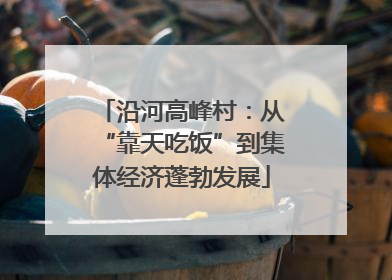 沿河高峰村：从“靠天吃饭”到集体经济蓬勃发展