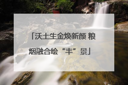 沃土生金焕新颜 粮烟融合绘“丰”景