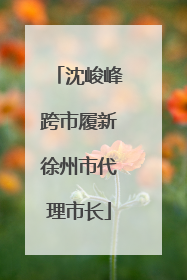 沈峻峰跨市履新徐州市代理市长