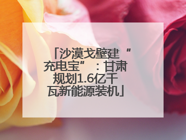 沙漠戈壁建“充电宝”：甘肃规划1.6亿千瓦新能源装机